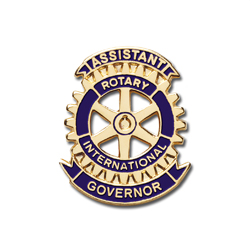Rotary Other District Pins